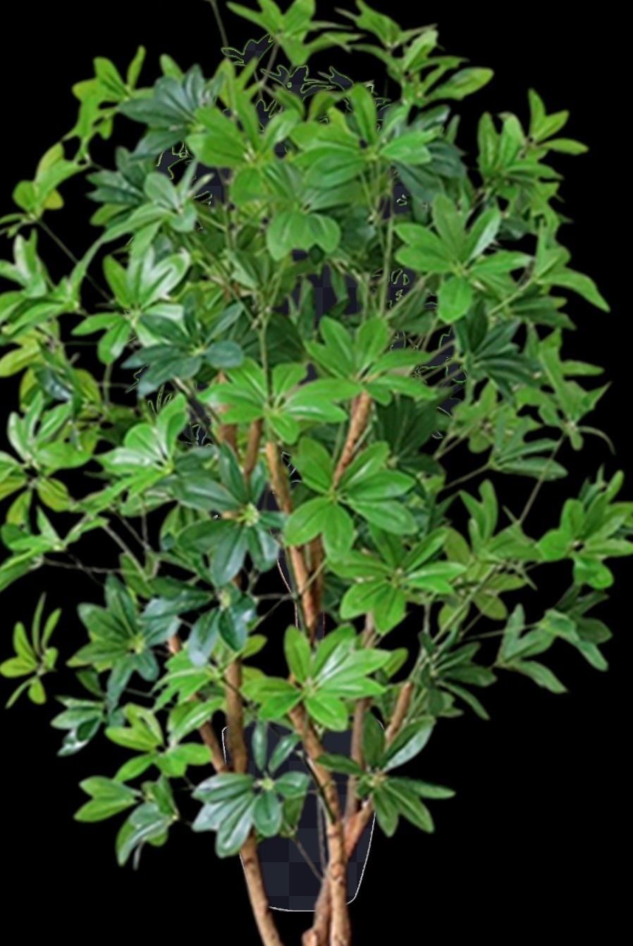 光触媒 人工観葉植物 ウォールグリーン フェイクグリーン カポック8321