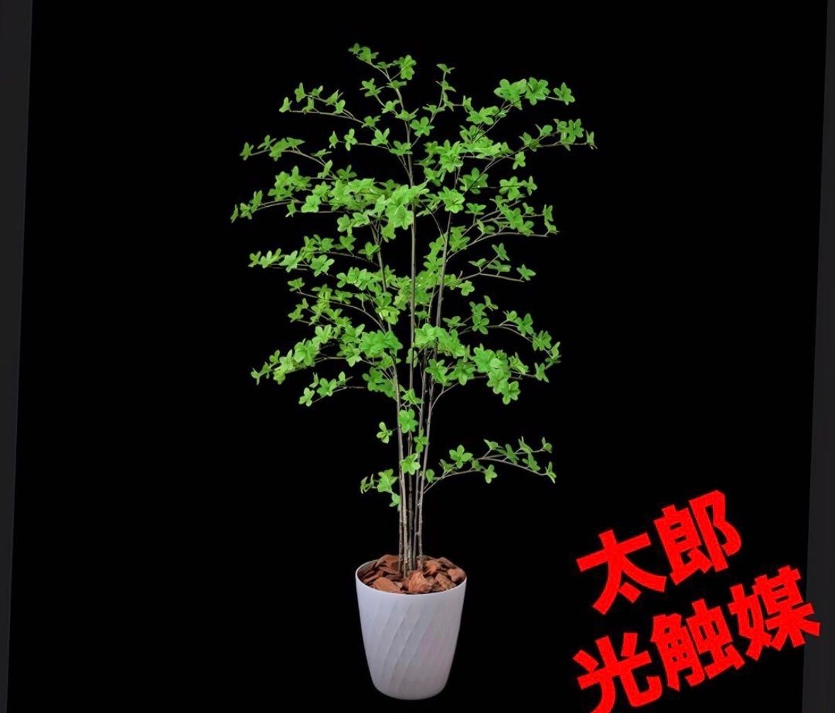 光触媒　人工観葉植物　ウォールグリーン　フェイクグリーン　ドウダン8325 人工観葉・フェイクグリーン 光触媒 人工観葉植物 ウォールグリーン