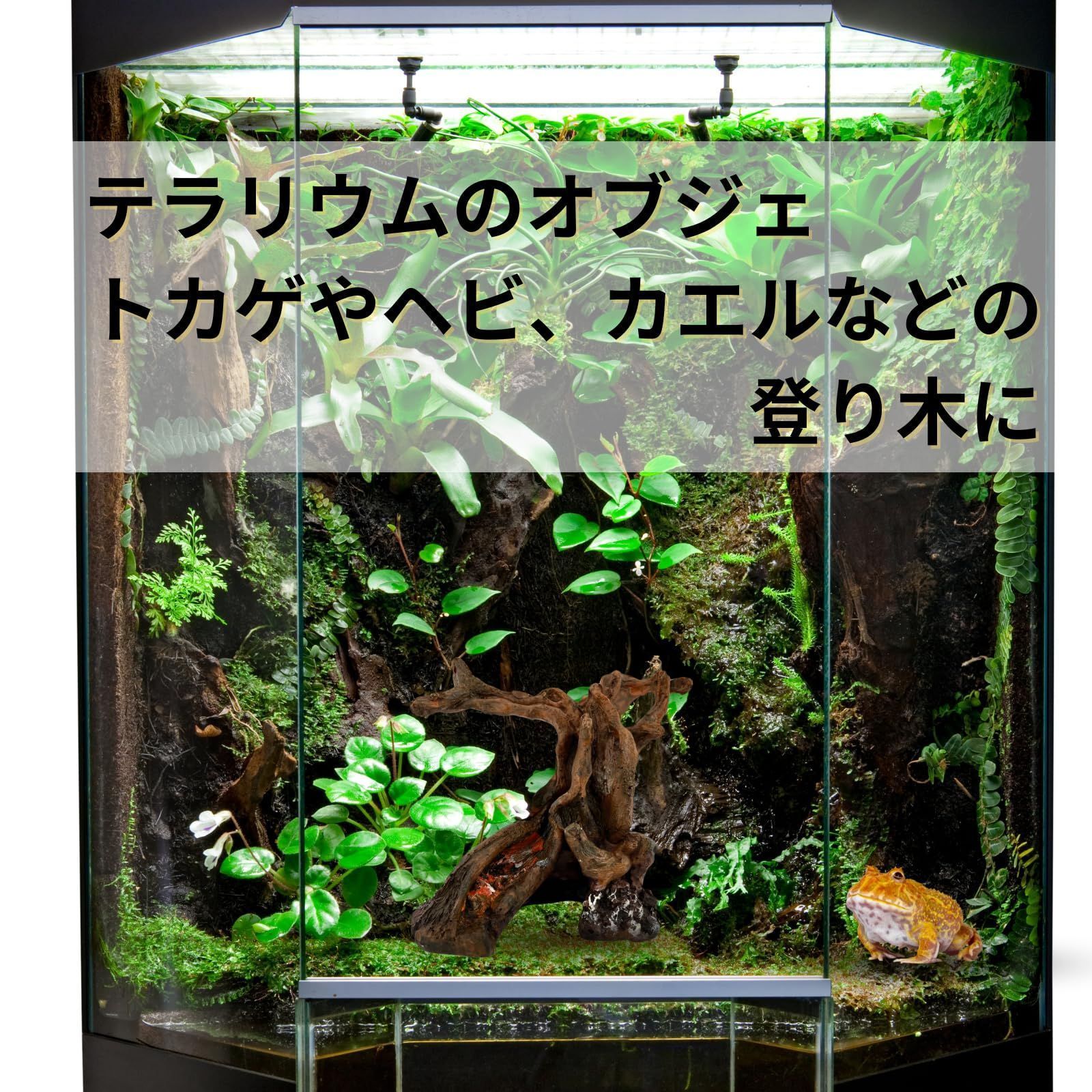 Nanarico 爬虫類 流木 登り木 テラリウム アクアテラリウム 水槽 装飾