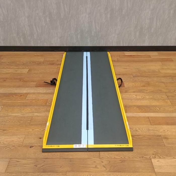 ダンスロープ　Lite SLIM 205SL車椅子用　営業所止め発送！ ダンスロープ Lite SLIM 205SL車椅子用 営業所止め発送！