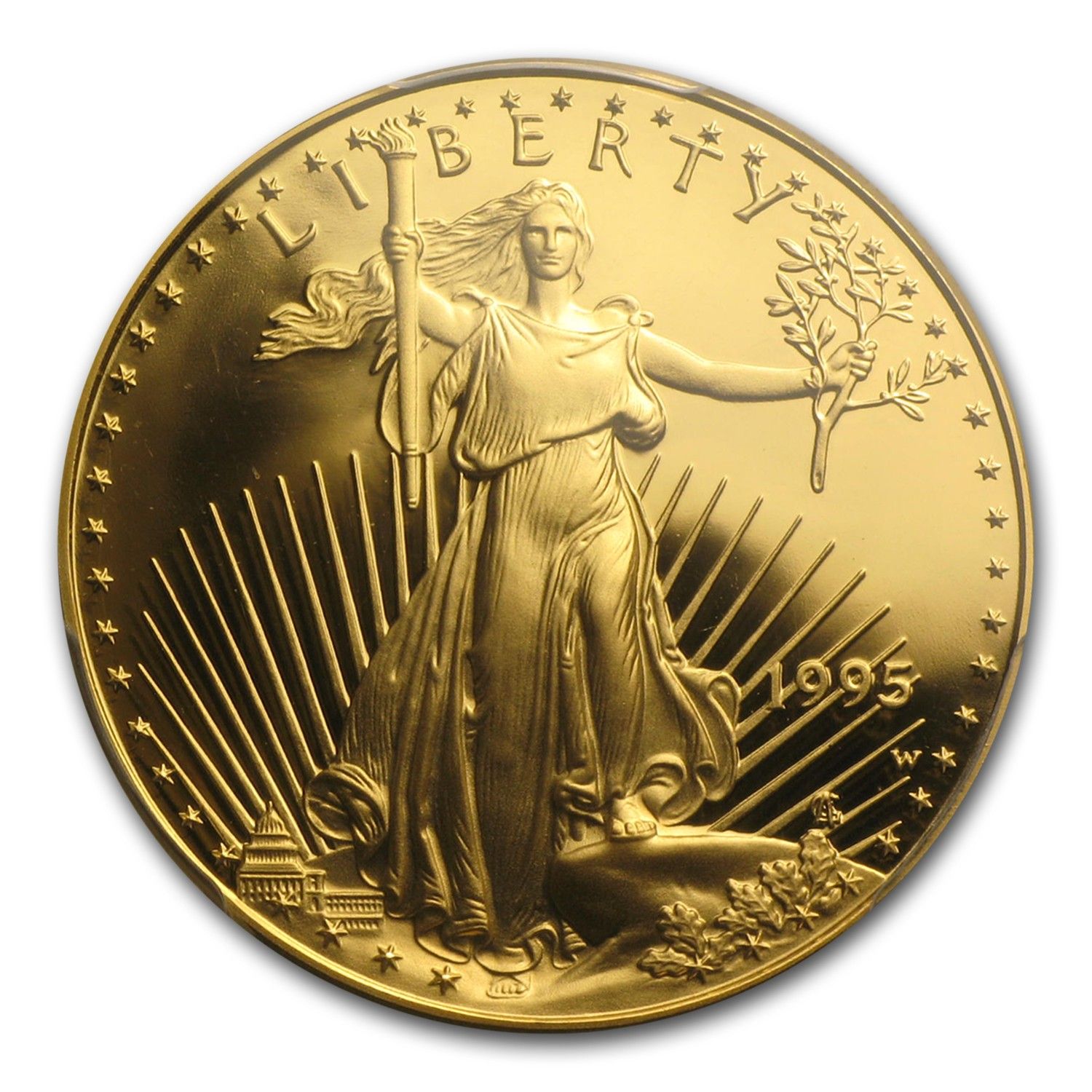 1995-W 1/2オンス プルーフ アメリカン ゴールド イーグル PR-69 PCGS