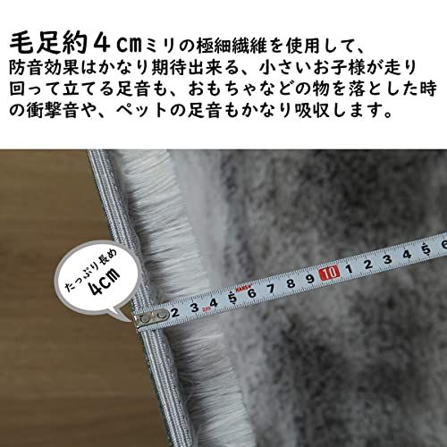 カーペット SpyFlyLie 洗えるラグ 北欧 長方形 ラグマット極厚毛足約