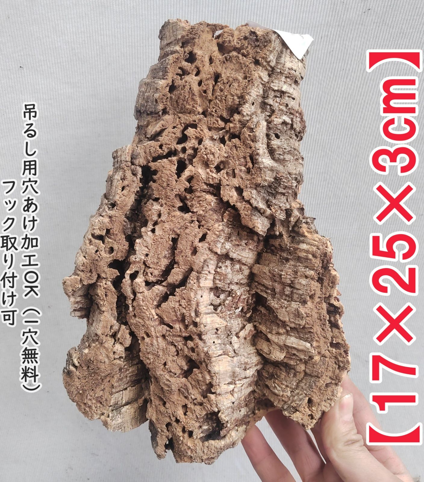 ポルトガル産コルク樹皮HPＬ-2-28-154 g242 ポルトガル産 厚め コルク樹皮 コルク板 バージンコルク 送料無料