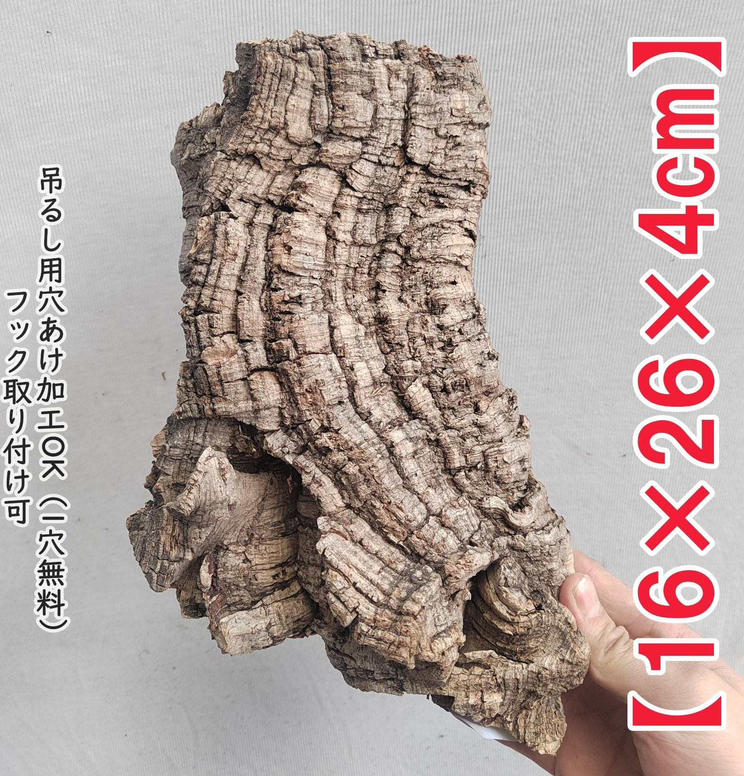 g244 ポルトガル産 厚め コルク樹皮 コルク板 バージンコルク 送料無料