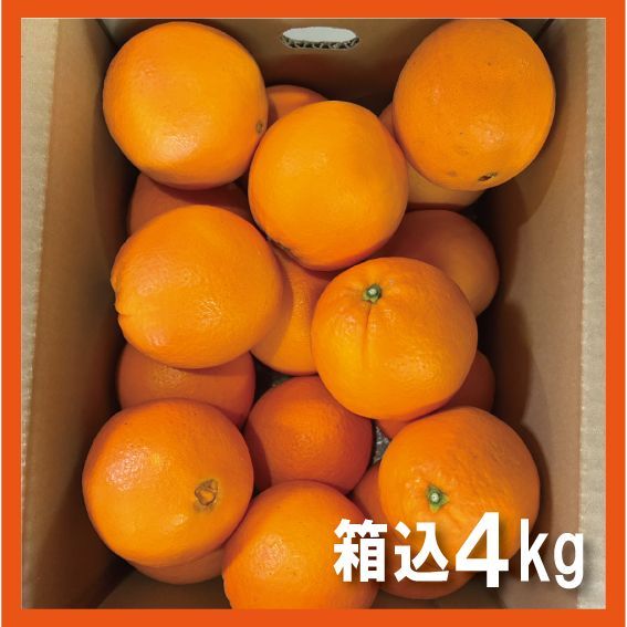 本場和歌山 ネーブル オレンジ 箱込み4kg L~4Lサイズ 15個前後 - メルカリ