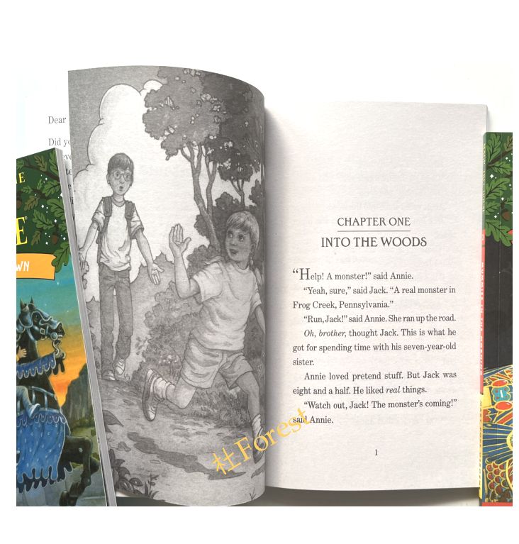 新品 Magic Tree House 絵本39冊 音源付 新品 Magic Tree House 絵本39冊 音源付 - メルカリ