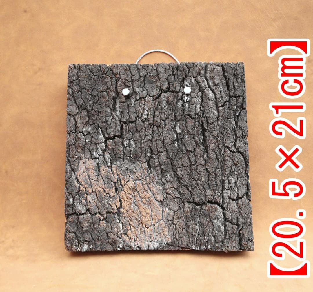 A660 ポルトガル産 高密度加工コルク板 コルク樹皮 バージンコルク