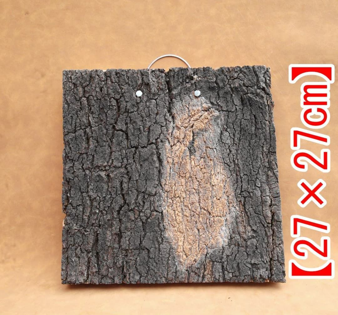 A662 ポルトガル産 高密度加工コルク板 コルク樹皮 バージンコルク