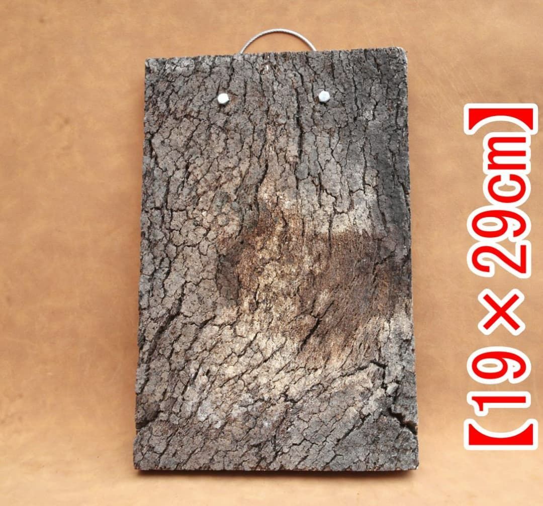 A664 ポルトガル産 高密度加工コルク板 コルク樹皮 バージンコルク