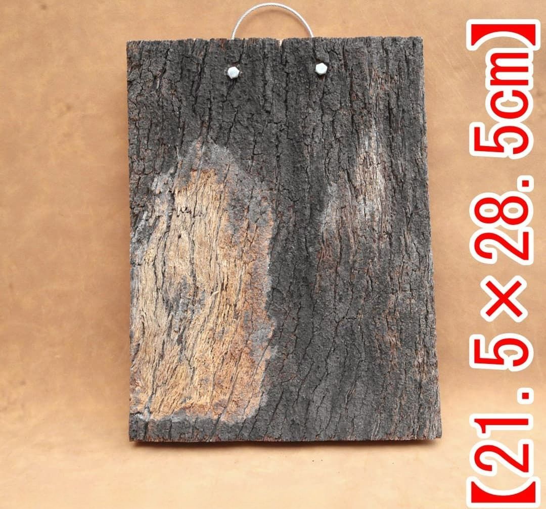 A666 ポルトガル産 高密度加工コルク板 コルク樹皮 バージンコルク