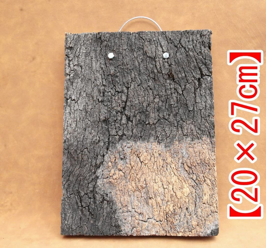 A655 ポルトガル産 高密度加工コルク板 コルク樹皮 バージンコルク