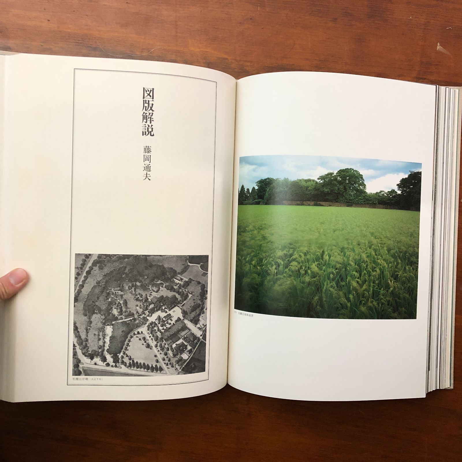 桂離宮 豪華写真集 毎日新聞創刊110年記念出版 岡本茂男 毎日新聞社