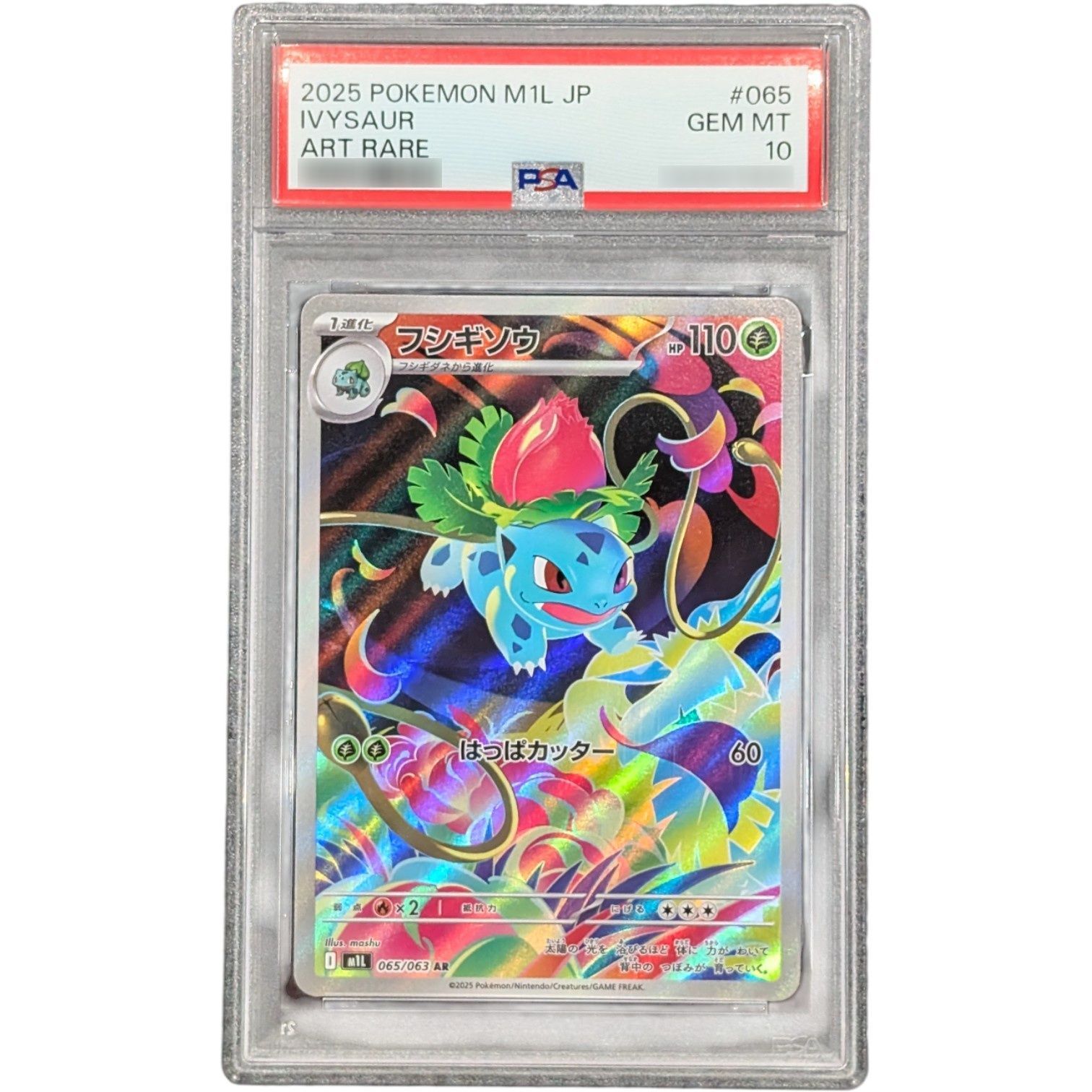 PSA10鑑定済〕フシギソウ【AR】{065/063} - メルカリ