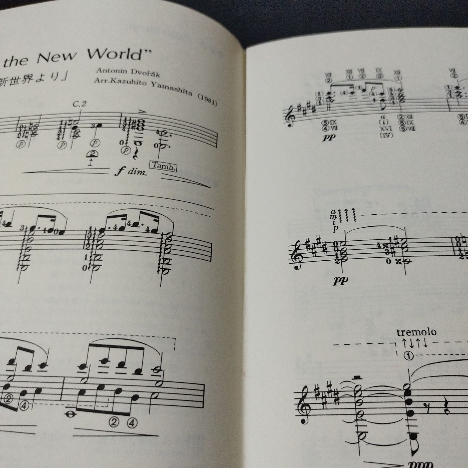 ギター 編曲：山下和仁 ラルゴ（ドヴォルザーク）／アロンソの結婚