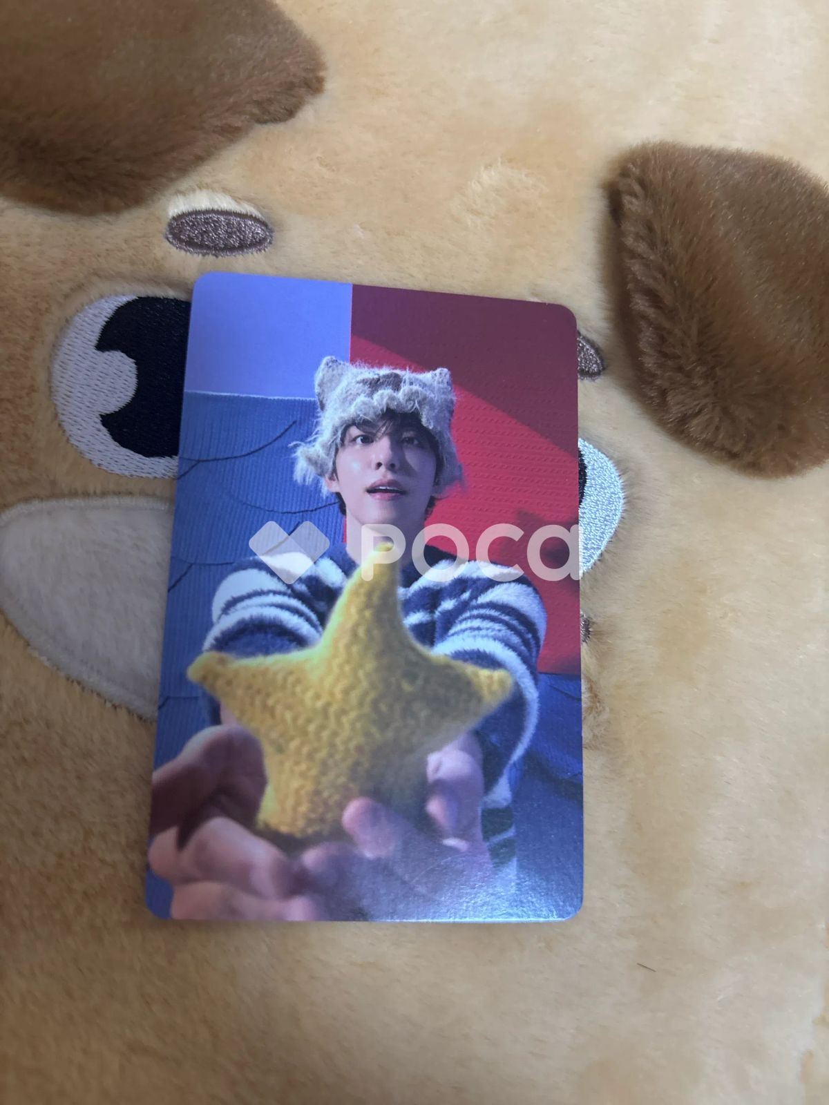 DAY6 ウォンピル 2025 DAY6 Special Concert 'The Present