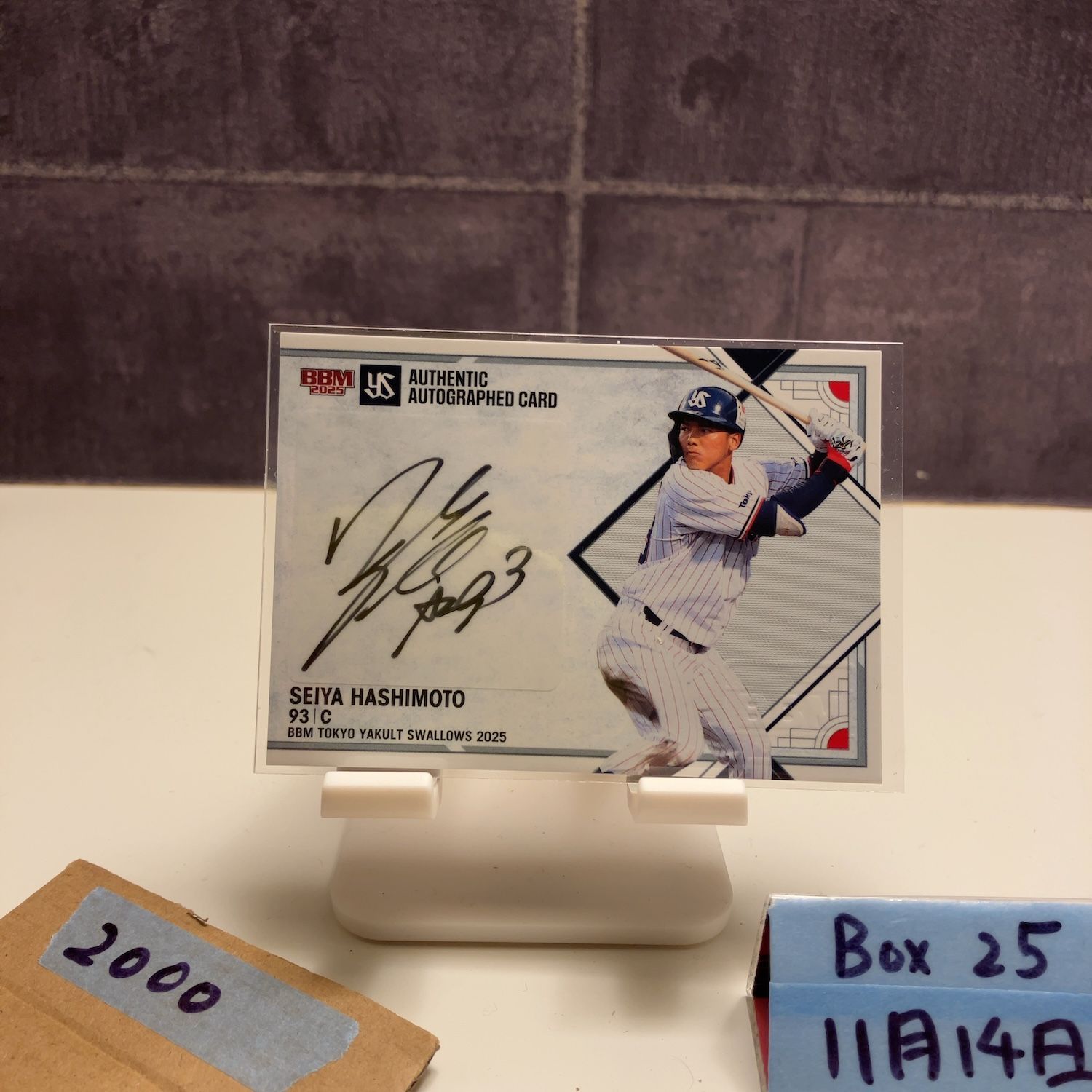 2025 BBM 橋本星哉 32/84 直筆サインカード 東京ヤクルトスワローズ