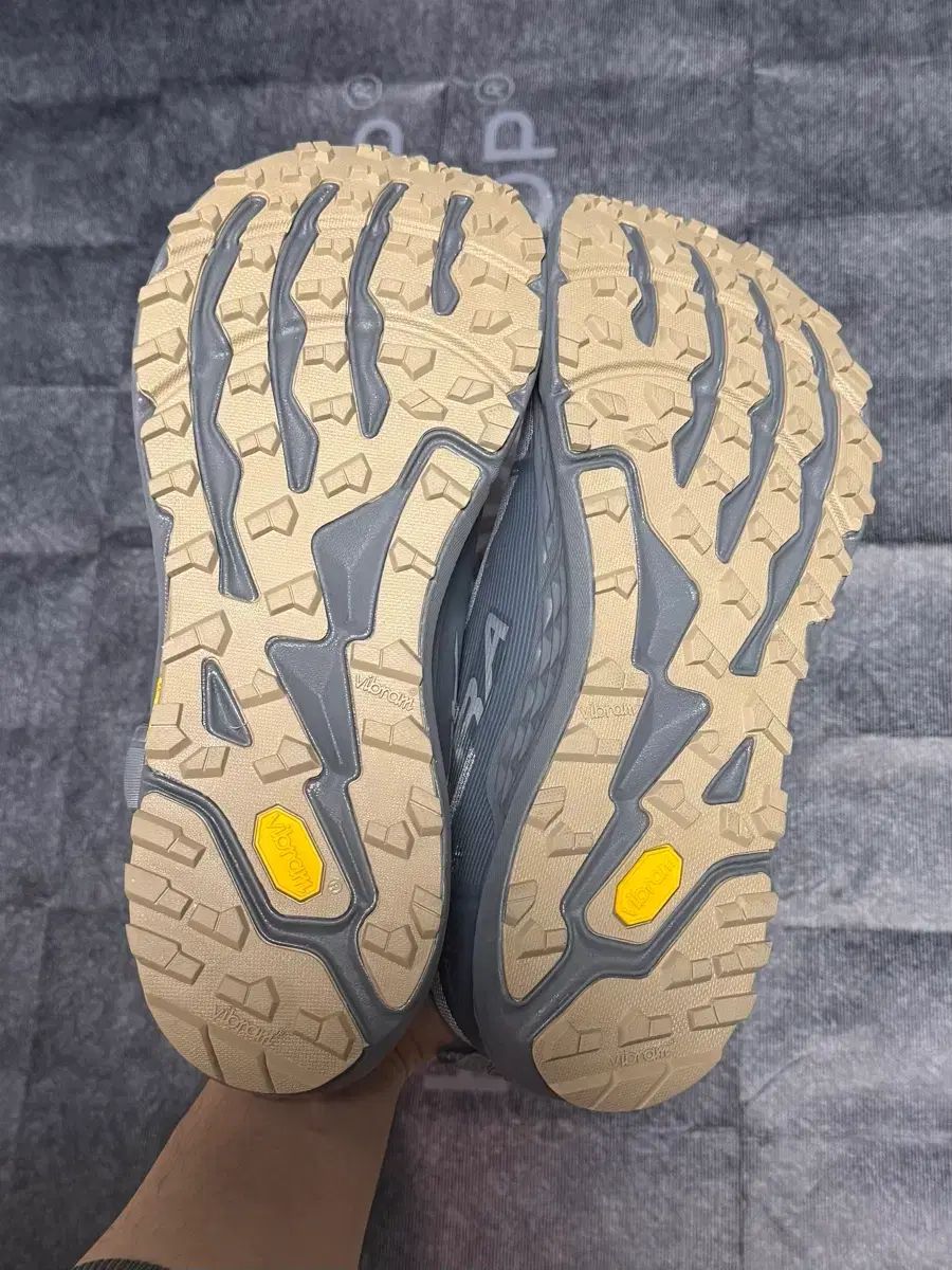 275 アンドワンダー