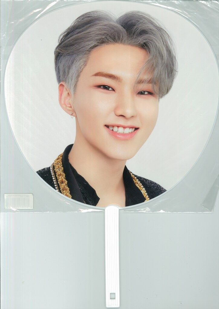 SEVENTEEN 2018IDEAL CUT IN JAPAN HOSHI うちわ - メルカリ