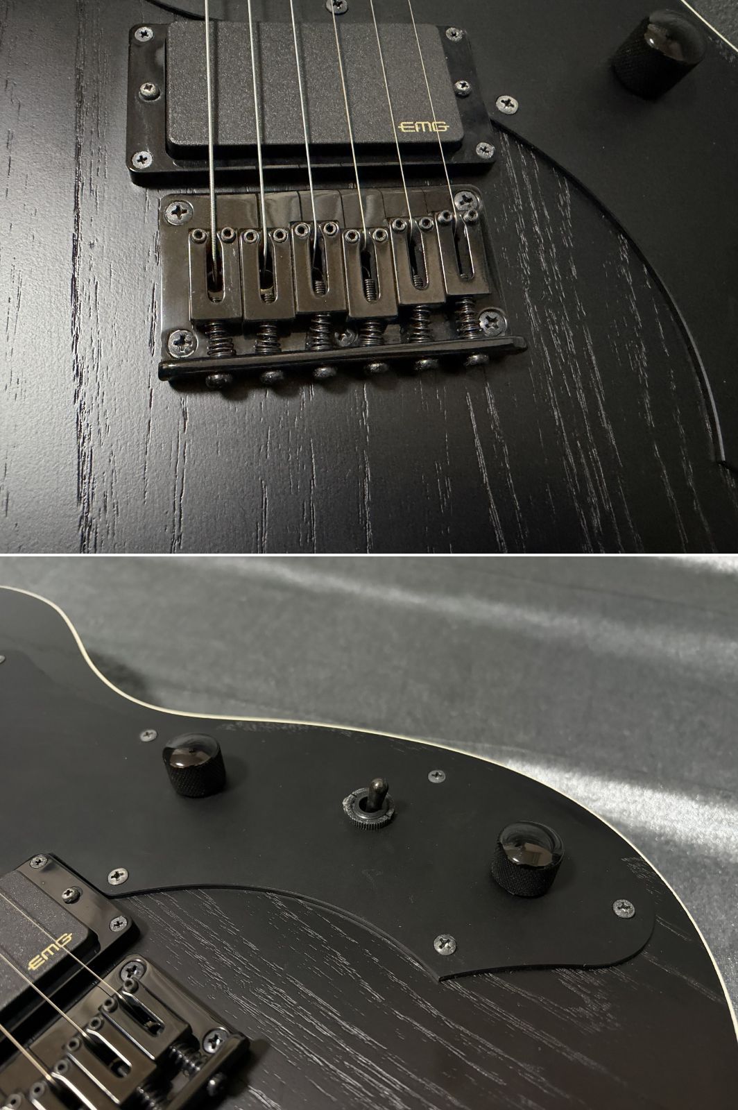 FUJIGEN(フジゲン) JIL-ASH-DE664-M EMGピックアップ搭載 2019年製 FGN