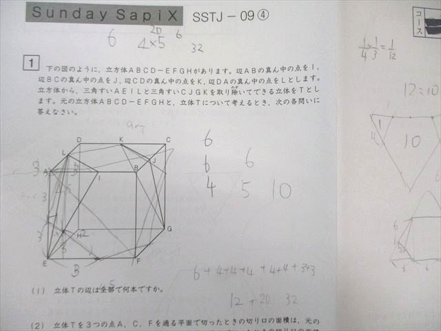 SAPIX サピックス 豊島岡女子コース SS特訓(SSTJｰ01～14) 算数 【全14