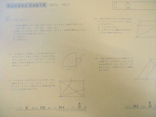 SAPIX サピックス 豊島岡女子コース SS特訓(SSTJｰ01～14) 算数 【全14