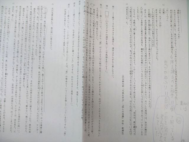 SAPIX サピックス SS特訓 桜蔭対策プリント 国語 【全14回分フルセット