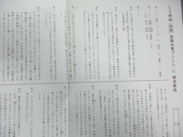SAPIX サピックス SS特訓 桜蔭対策プリント 国語 【全14回分フルセット
