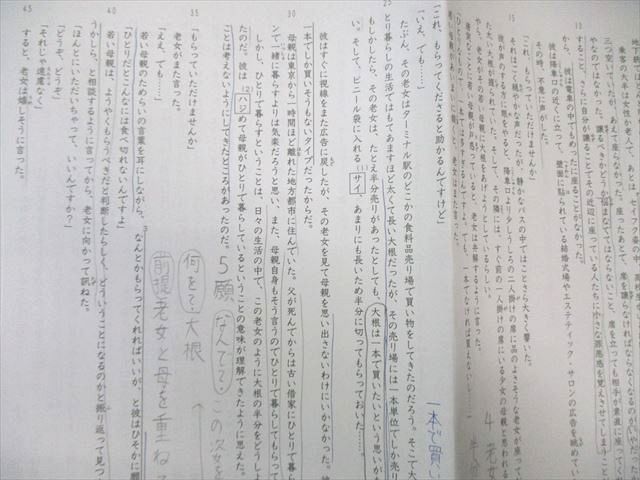 SAPIX サピックス SS特訓 桜蔭対策プリント 国語 【全14回分フルセット