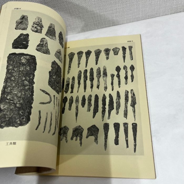 天神山古墳 山口市埋蔵文化財調査報告 1979年 古墳 考古学 資料 歴史