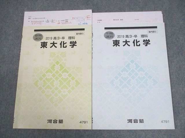 河合塾 東京大学 東大化学 テキスト 2019 夏期/冬期 計2冊 沖暢夫