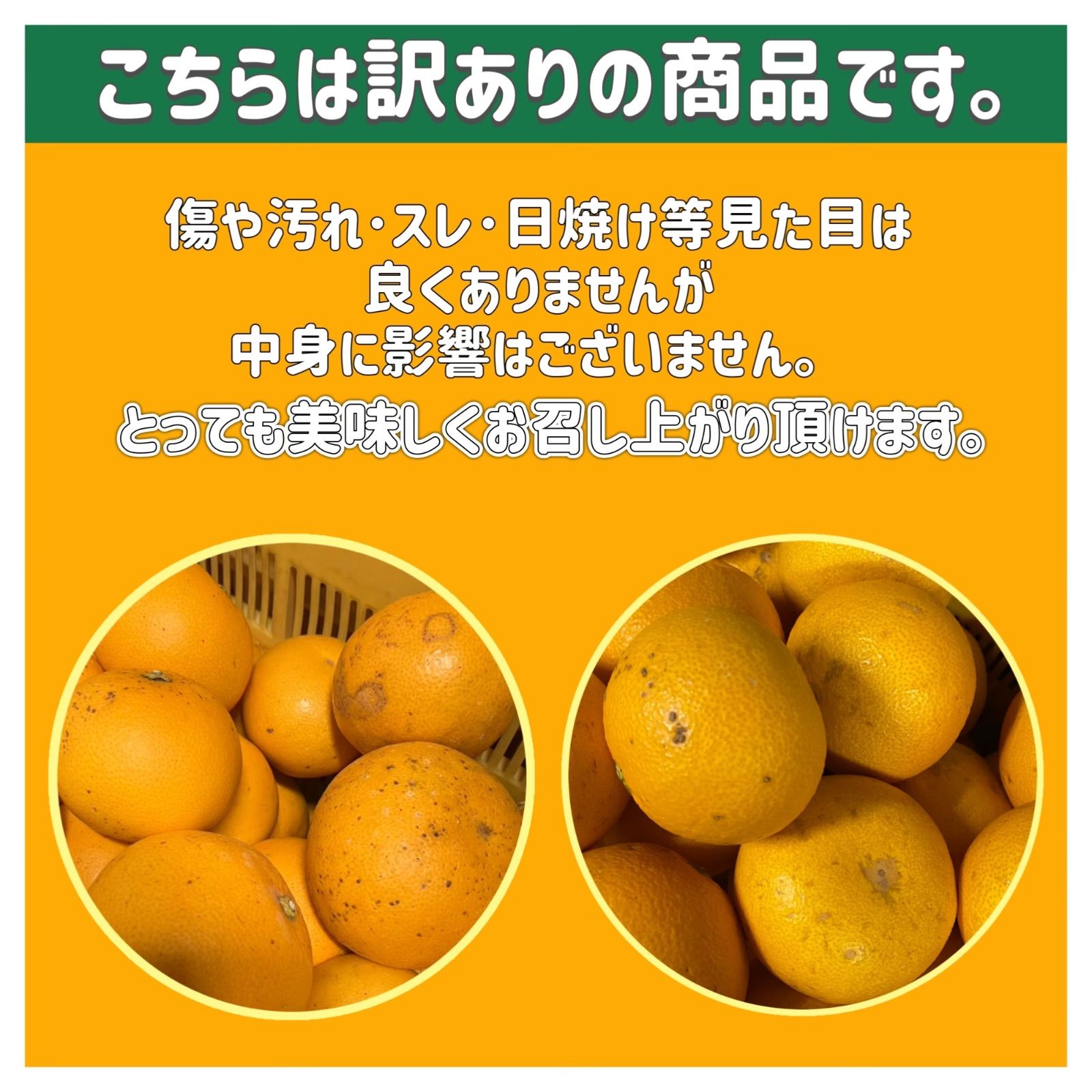 訳あり‼️和歌山県産 はっさく 八朔 8kg サイズ混合 有田 みかん 柑橘