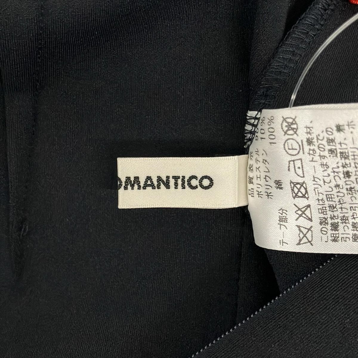 Regina Romantico(レジィーナロマンティコ) ロングスカート サイズ38 M