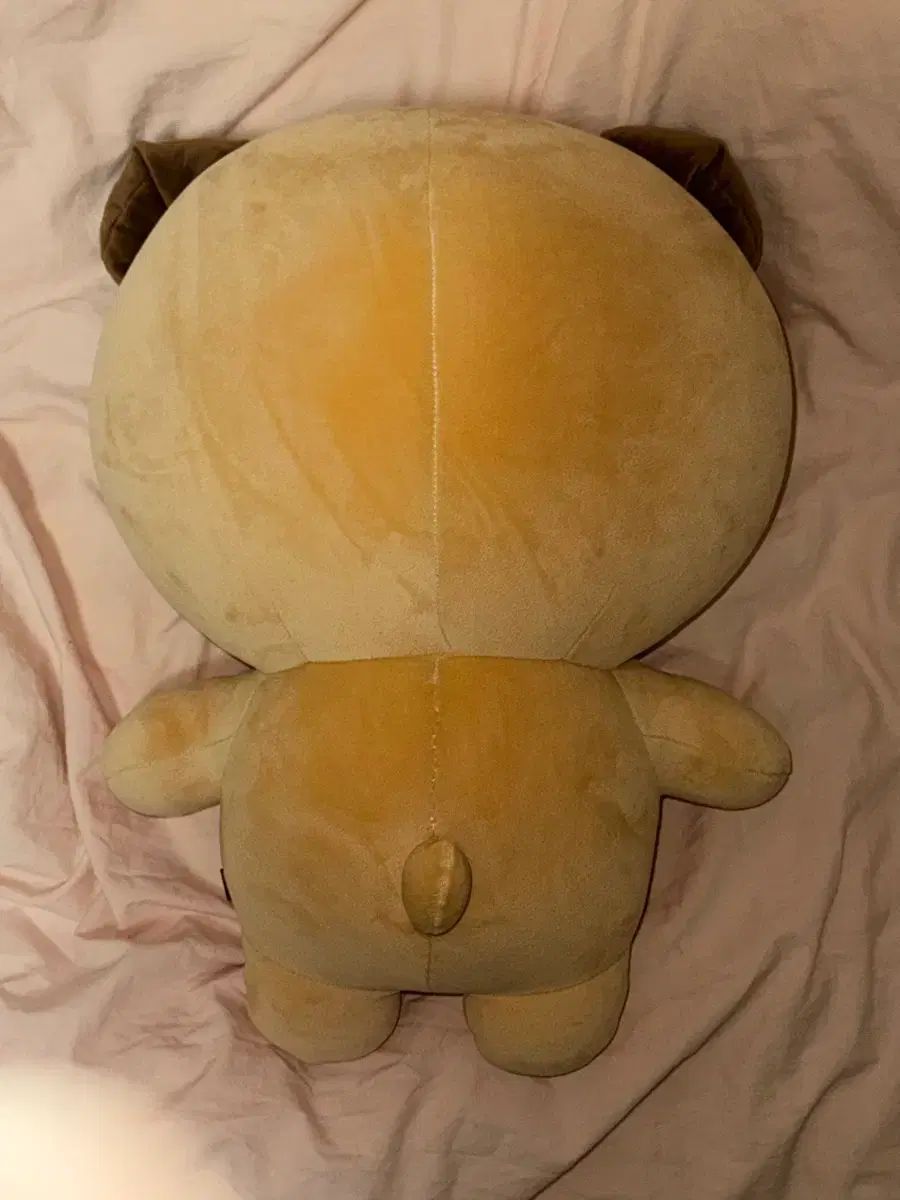 ジャイアント デニマルズ ドウン DOWOON DAY 6 デイシックス デマル