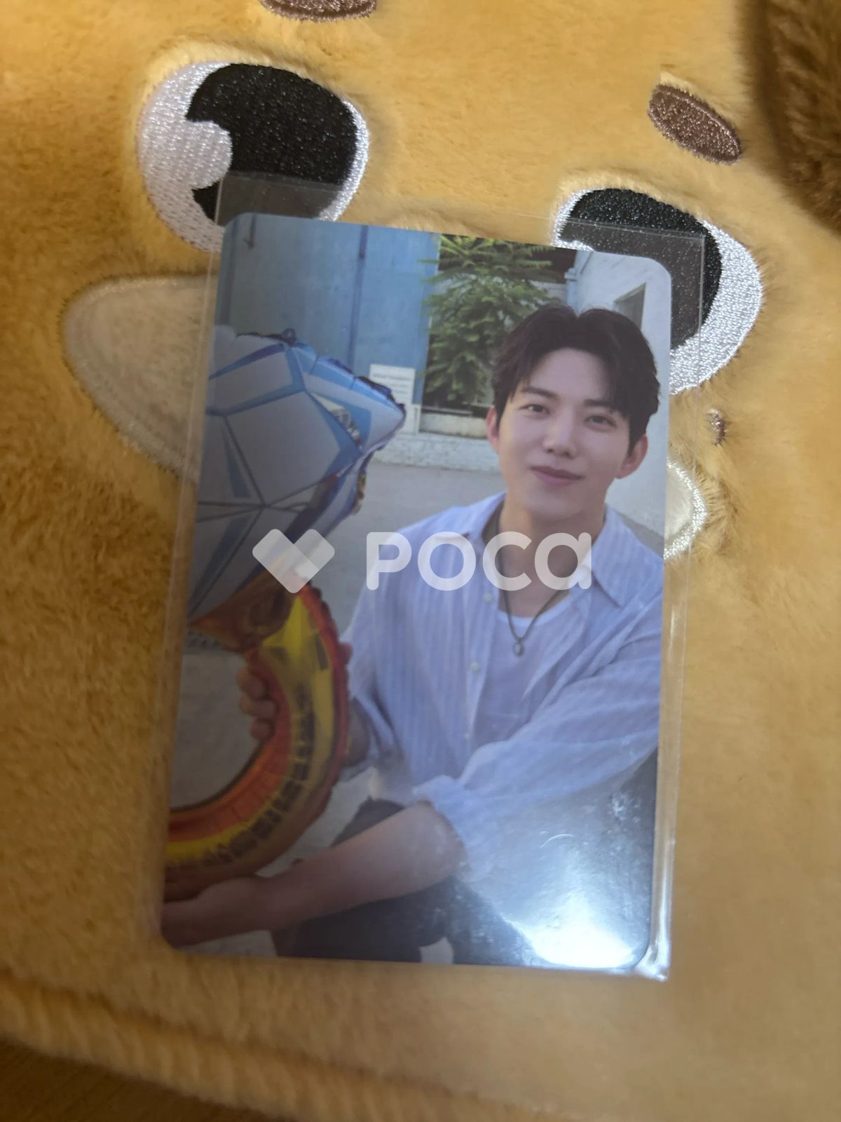 DAY6 ドウン DAY6 10th Anniversary Tour [The DECADE] 購入特典