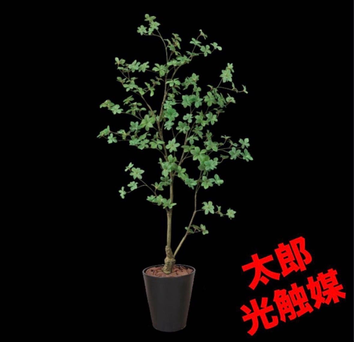 光触媒 人工観葉植物 ウォールグリーン フェイクグリーン