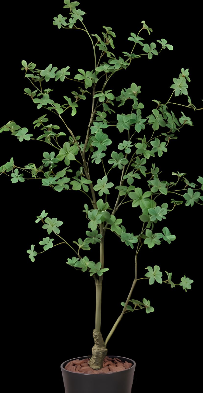 光触媒 人工観葉植物 ウォールグリーン フェイクグリーン