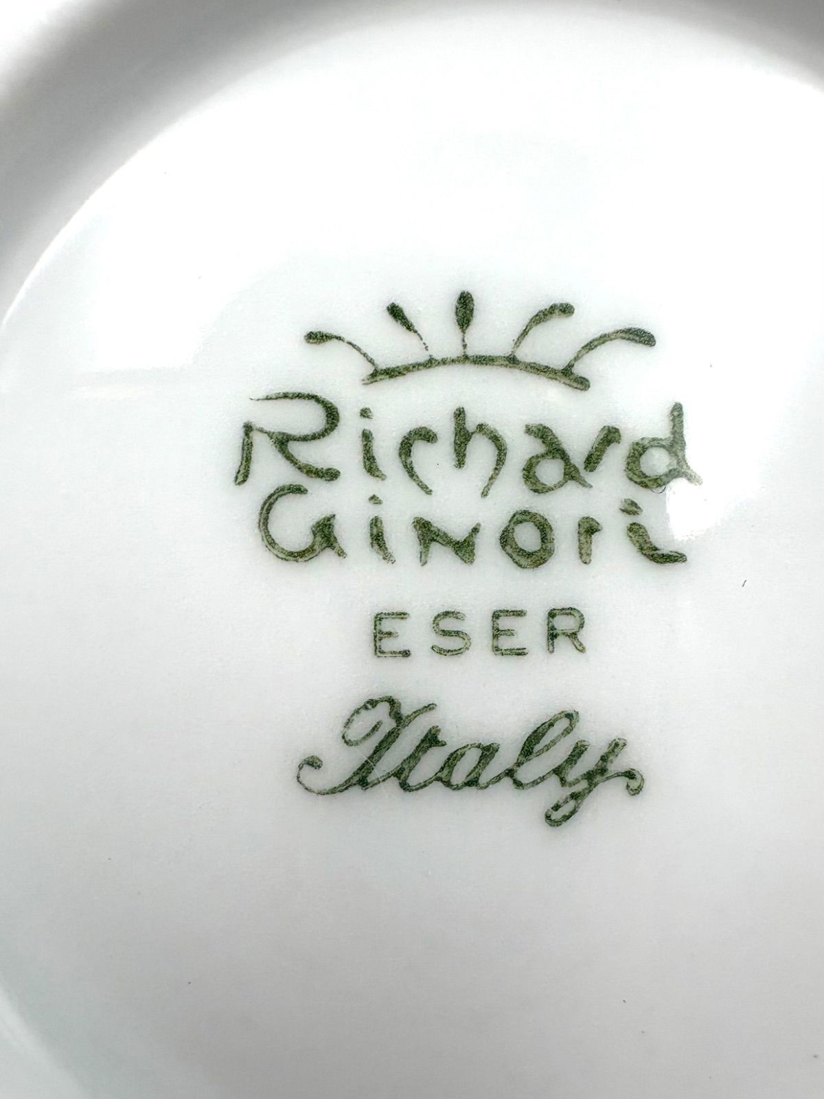 未使用保管品 Richard Ginori リチャードジノリ ベッキオホワイト 30