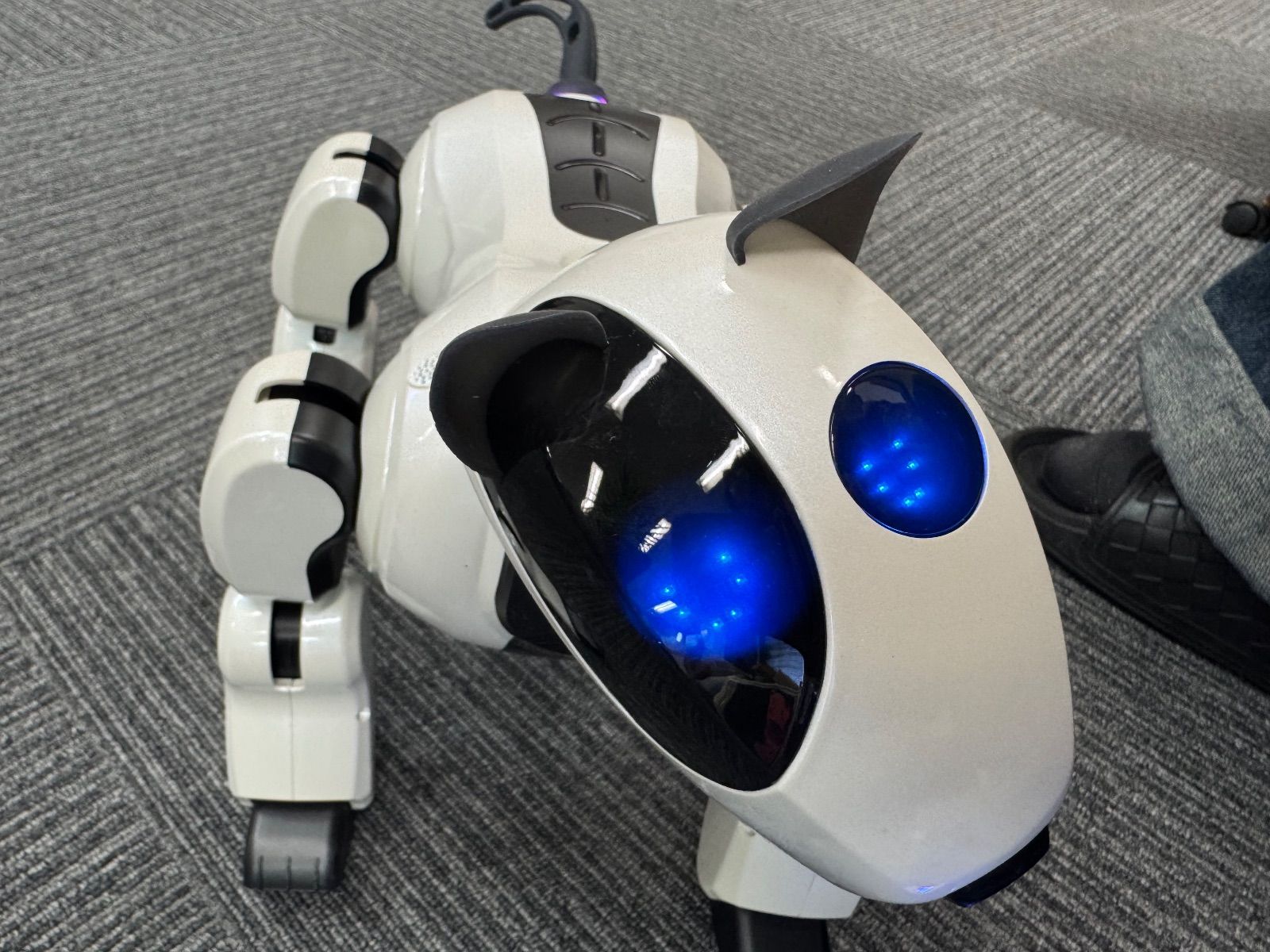 Dongbu Robot ドンブロボット Genibo ジェニボ ペットロボット - メルカリ