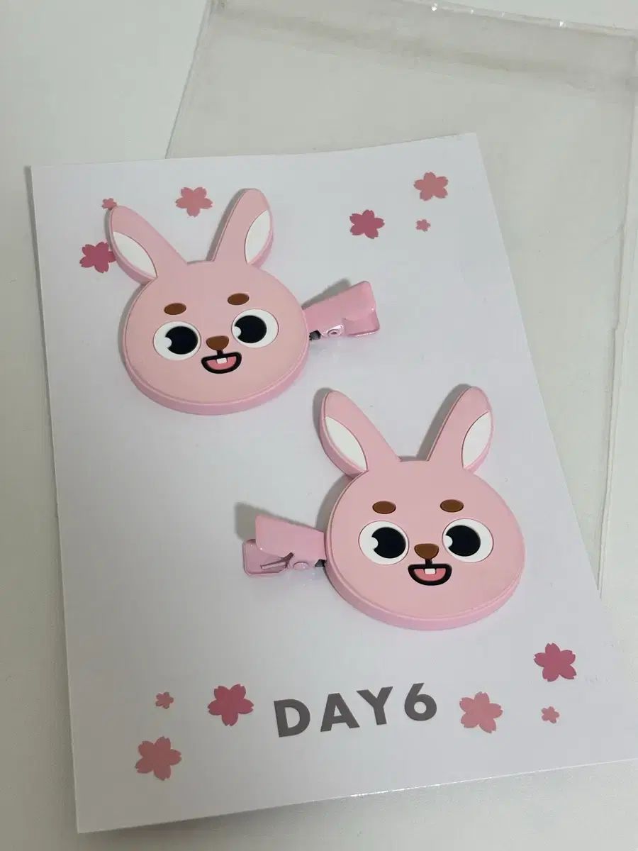 DAY6（デイシックス）ウォンピル(WONPIL) ヘアクリップ（横浜md