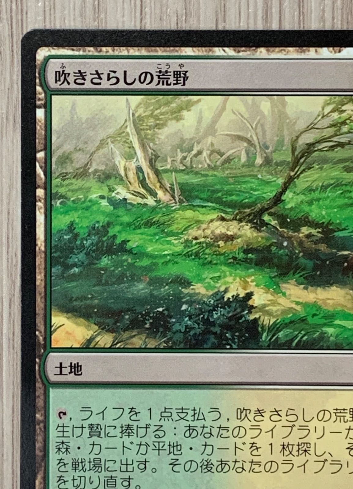 マジック・ザ・ギャザリング 吹きさらしの荒野 248/269 R KTK - メルカリ