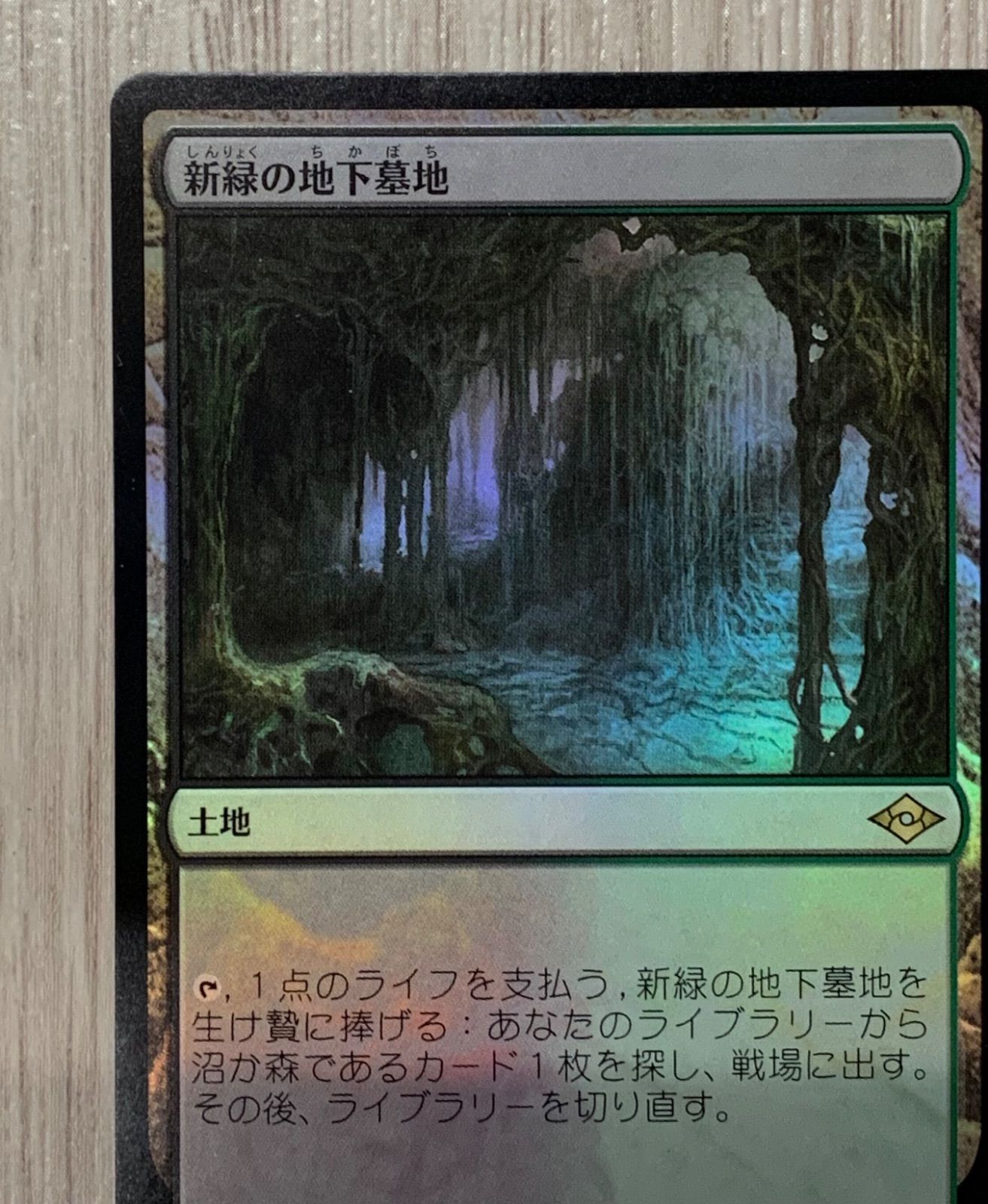 マジック・ザ・ギャザリング 新緑の地下墓地 260/303 R MH2 foil