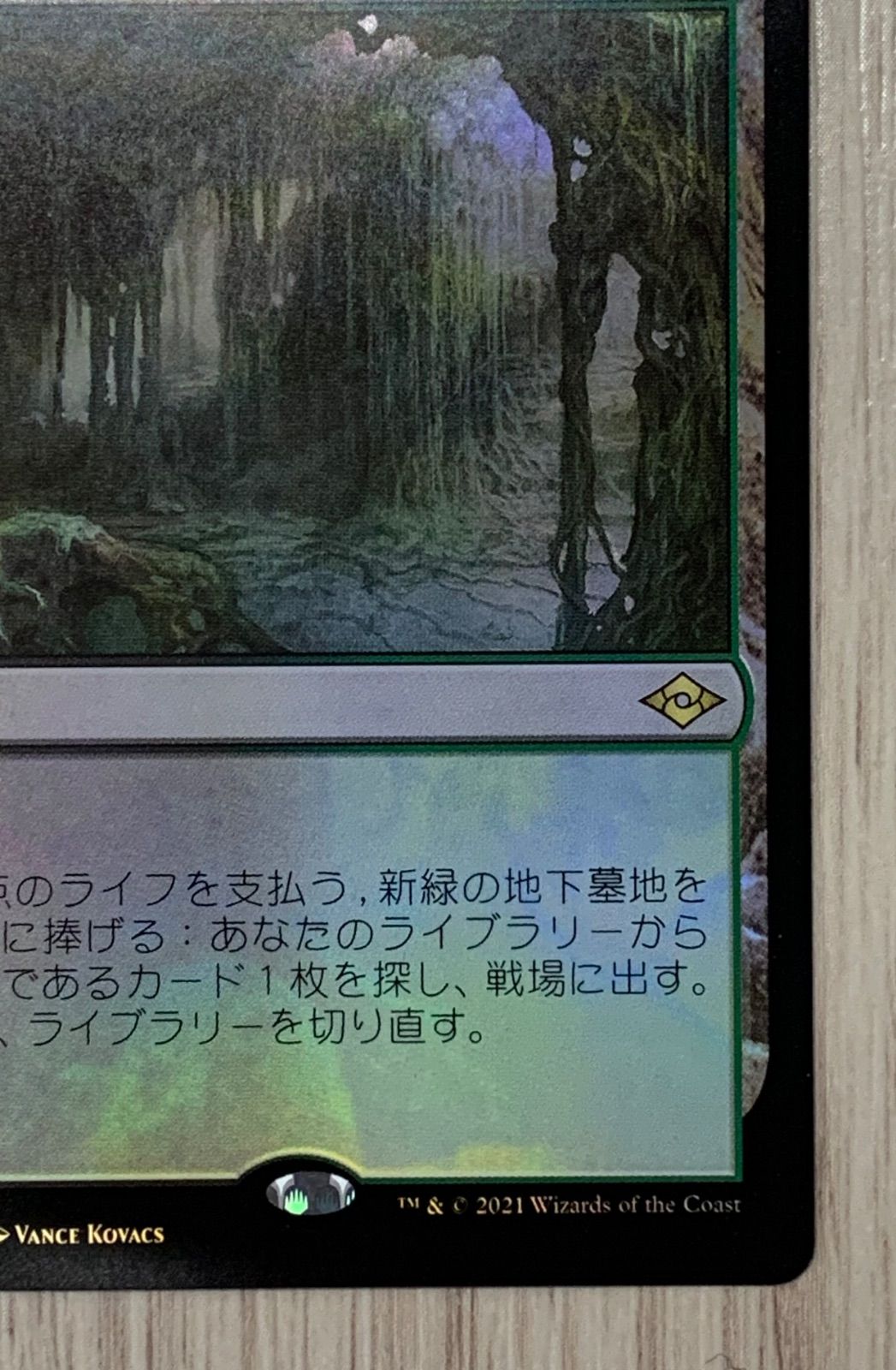 マジック・ザ・ギャザリング 新緑の地下墓地 260/303 R MH2 foil