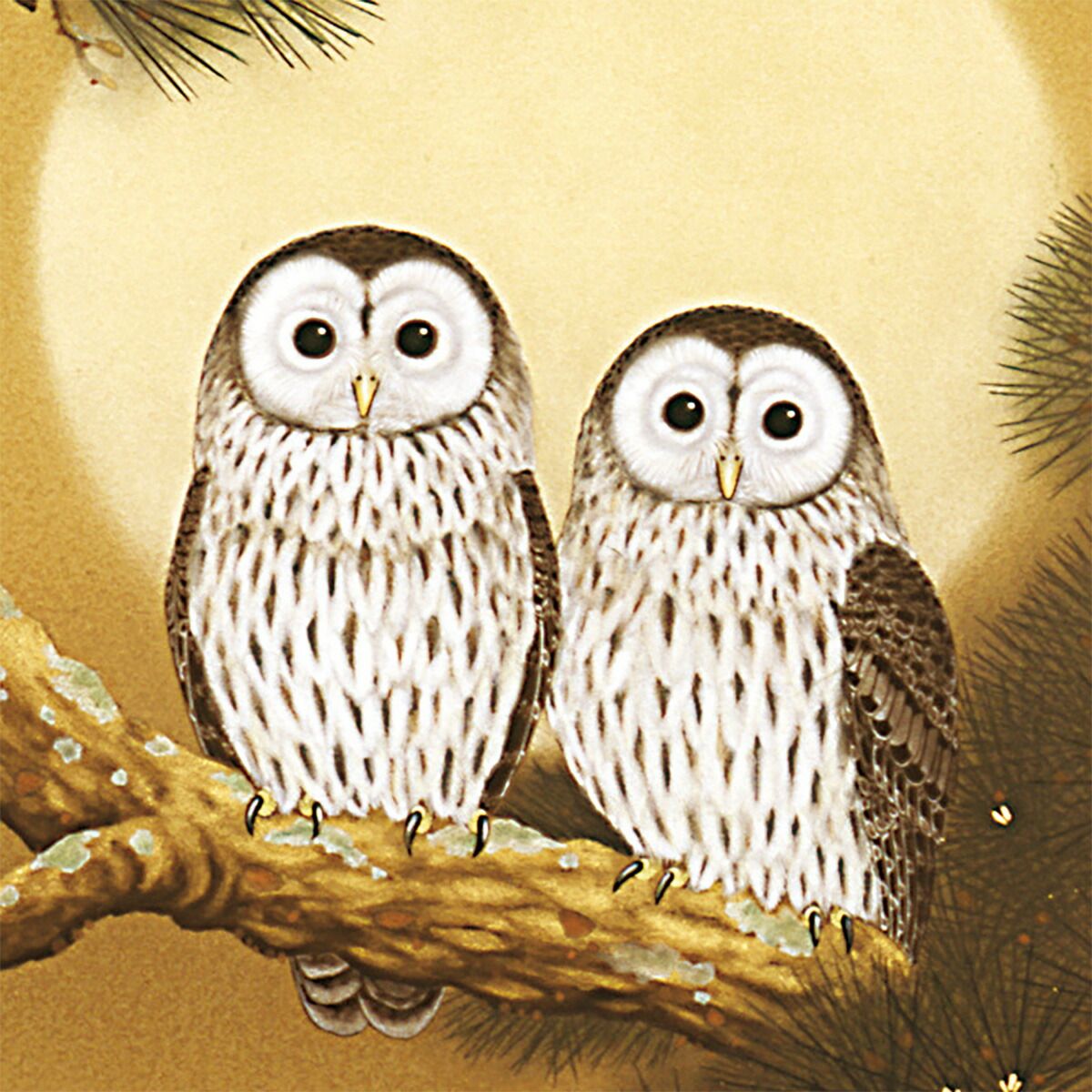 美品 掛け軸 武藤高雅作 金地 月宵夫婦梟図 共箱 太巻き付 美術年鑑掲載 手描き 掛け軸 「月宵夫婦梟」武藤高雅 尺五立 幅54.5×丈190cm 桐箱