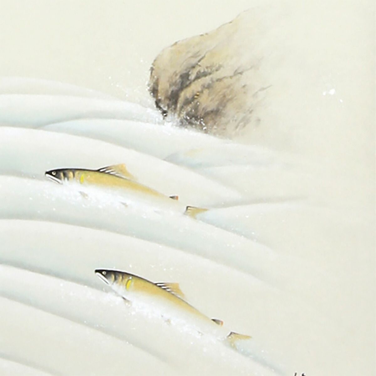 手描き 掛け軸 「鮎」佐藤桂三 半切立 幅47×丈190cm 桐箱収納 モダン