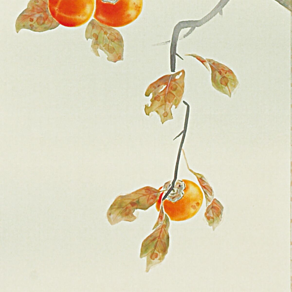 手描き 掛け軸 「柿に小禽」北条静香 尺五立 幅54.5×丈190cm 桐箱収納