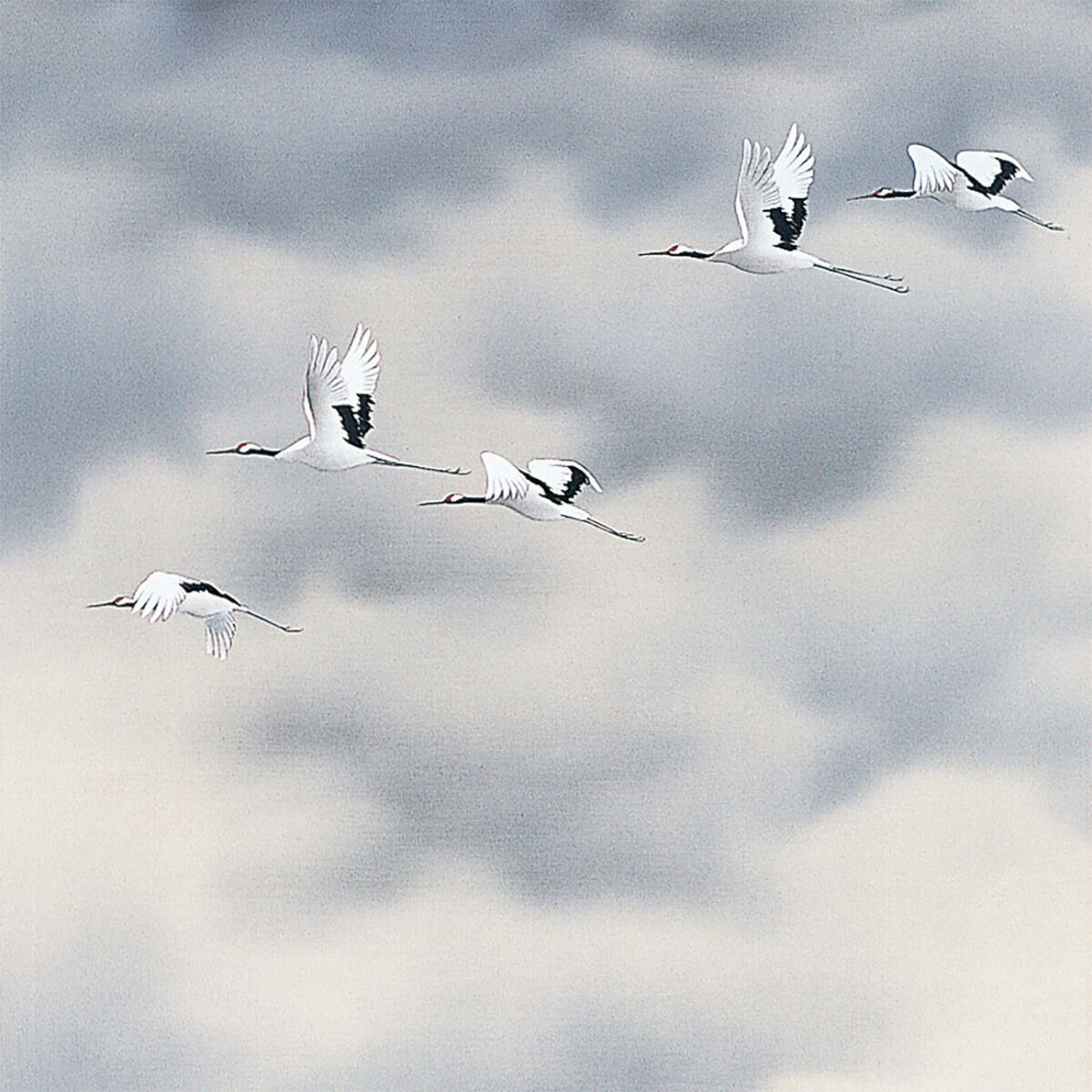 手描き 掛け軸 「朱映飛鶴」西森湧光 尺五立 幅54.5×丈190cm 桐箱収納