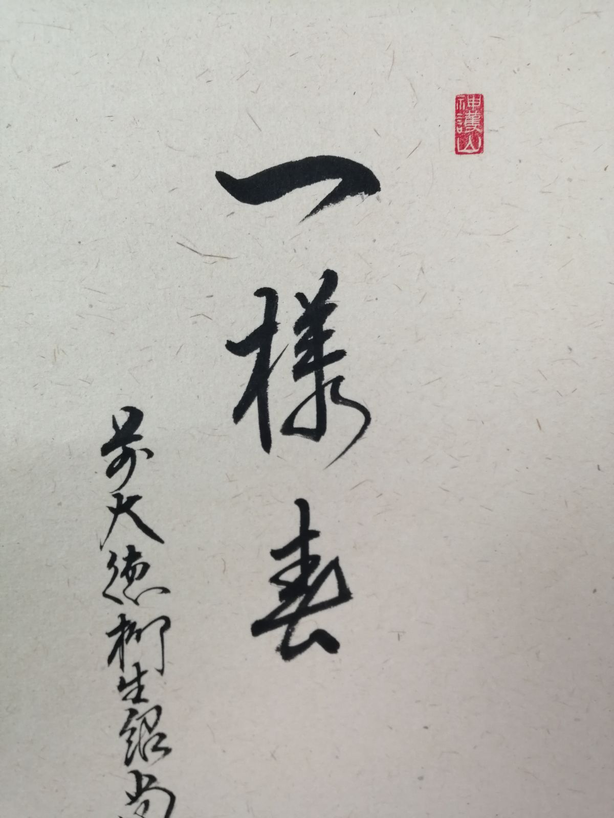 茶道具】大徳寺 橋本紹尚和尚筆 桜に篝火画賛『一様春』 茶掛 掛軸 軸