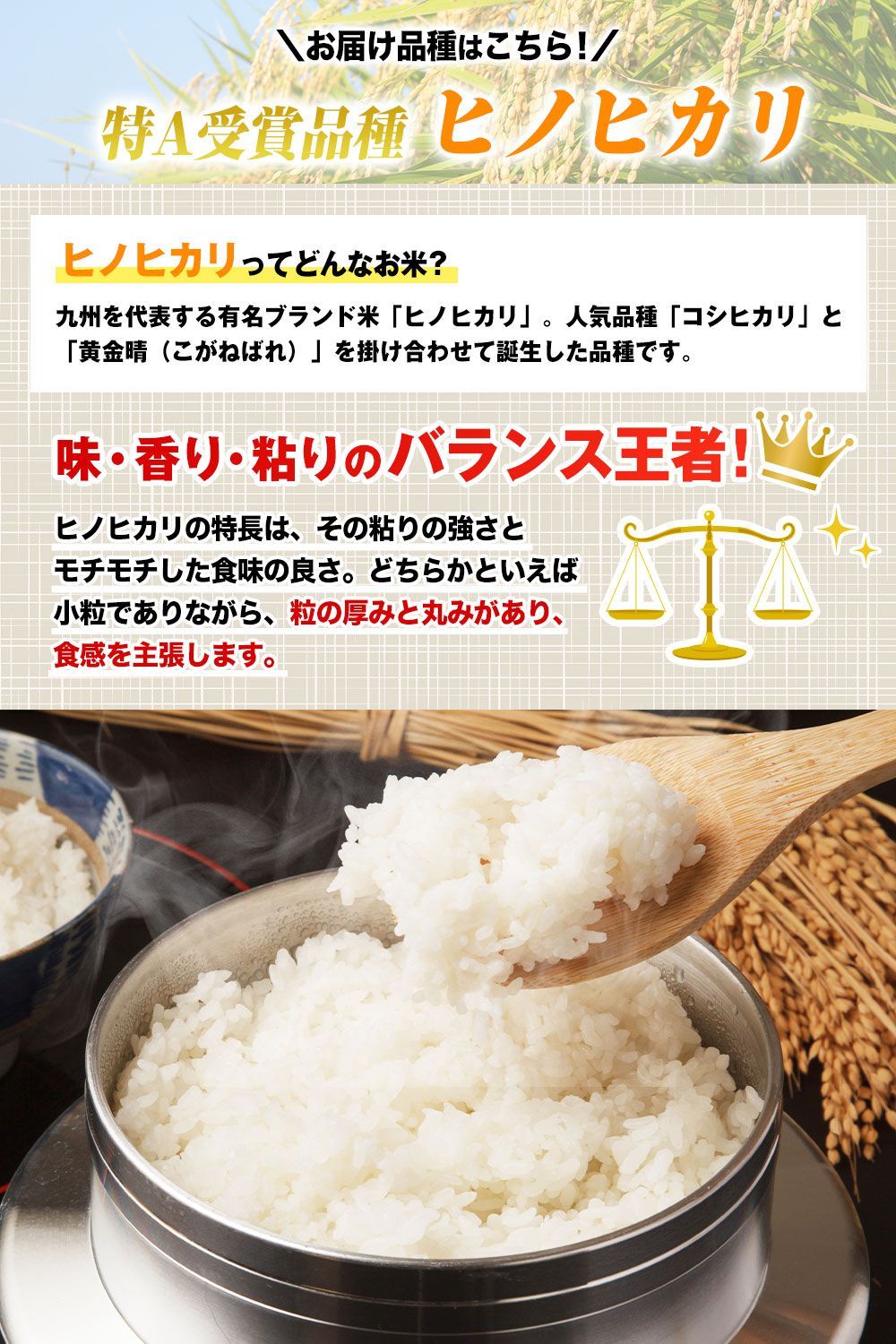 令和7年産】熊本県産ヒノヒカリ 無洗米 20kg｜銘柄米 - メルカリ