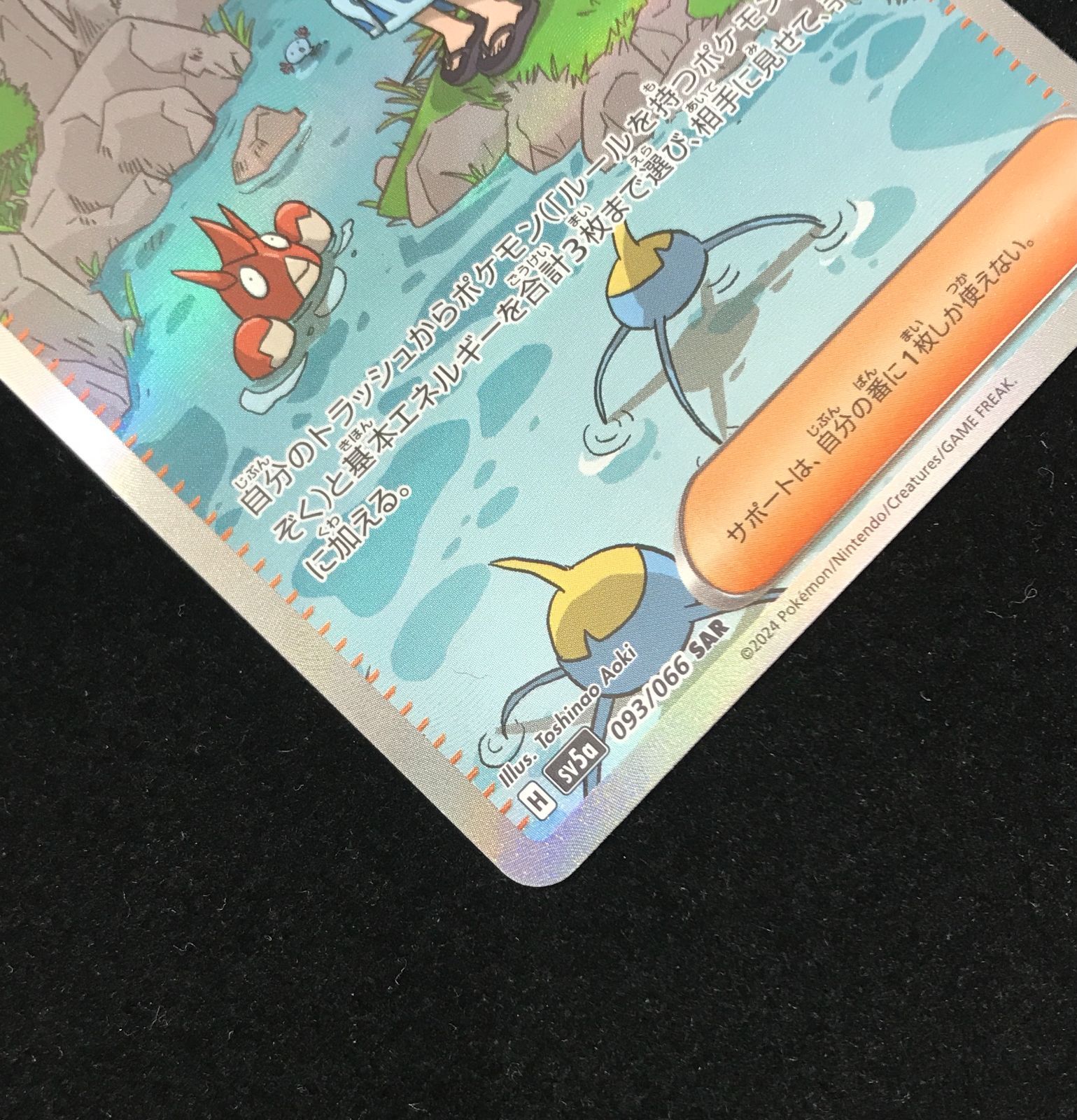 ポケモンカード セット　スペイン語 ゼニガメ | ポケモンカードゲーム公式ホームページ