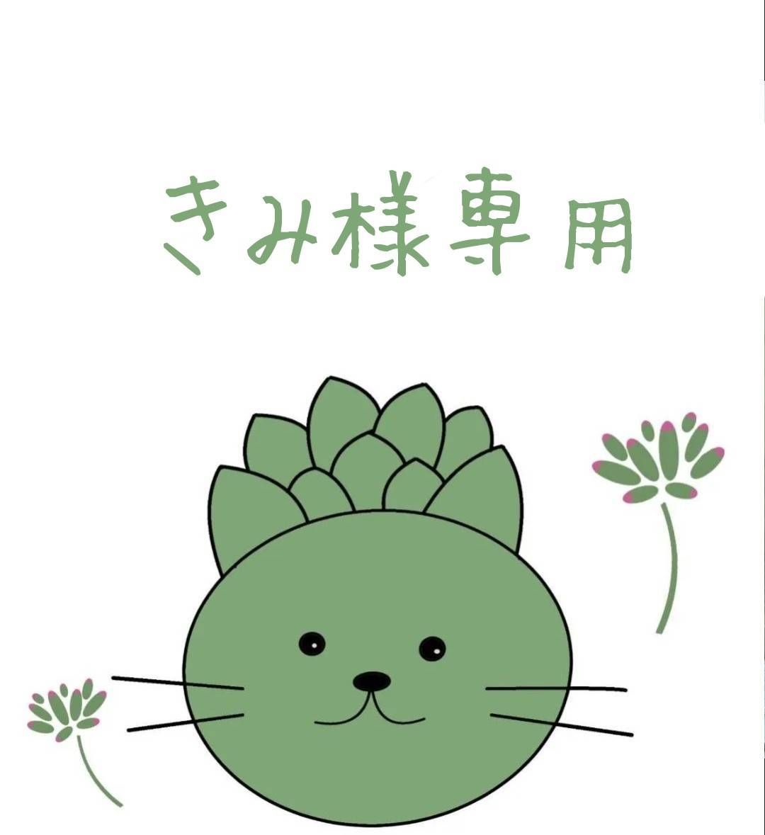 きみ様専用 - メルカリ